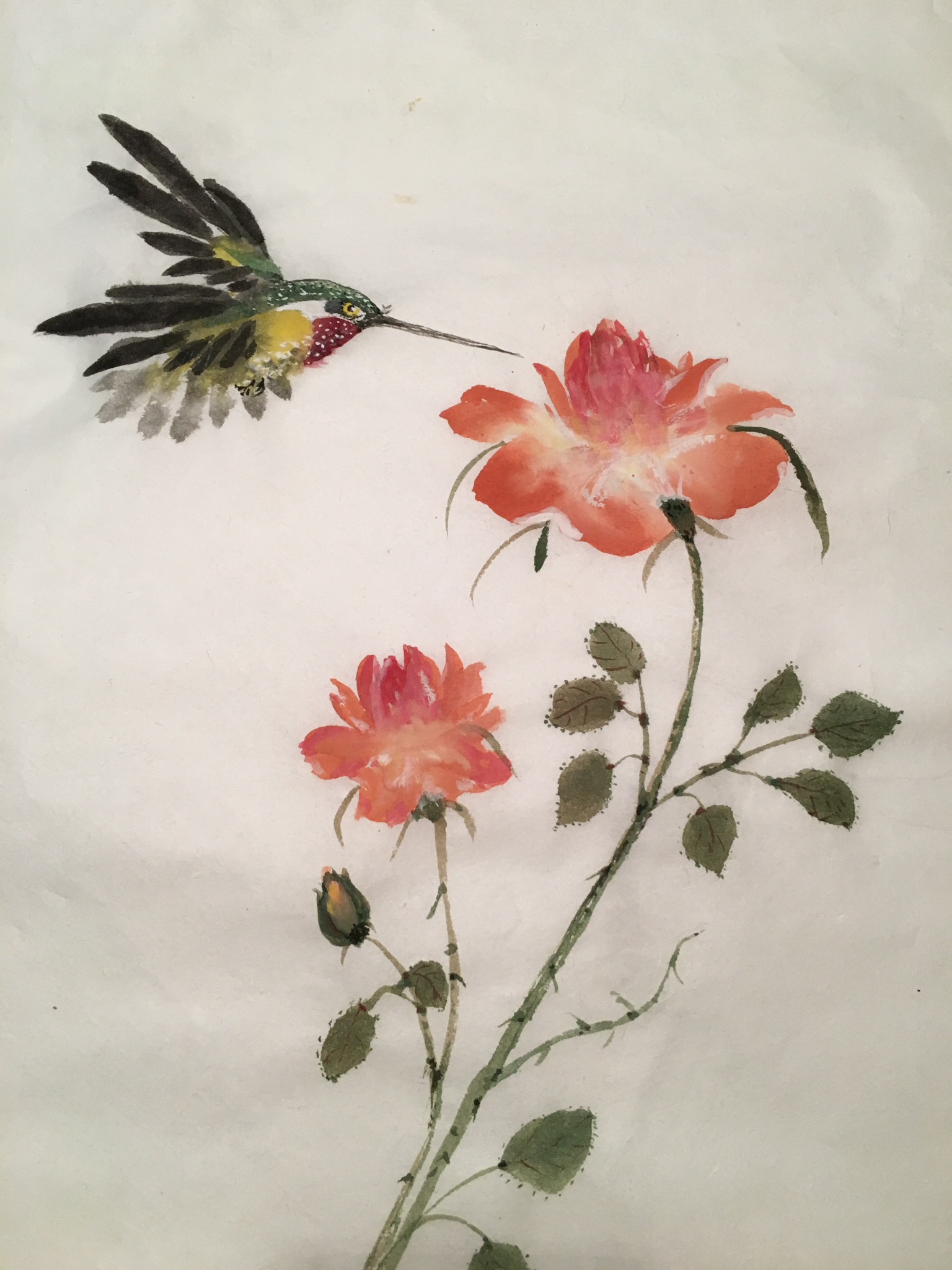 Hummingbird and rose
