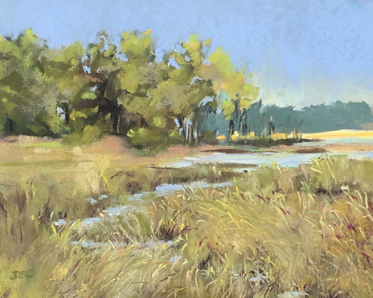 Marsh scene